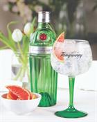Tanqueray No Ten Gn and Tonic